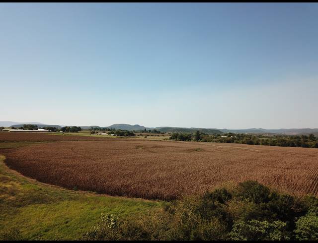 20HA FARM FOR SALE IN WEENEN